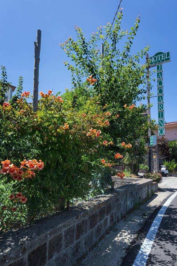 Hotel Iaccarino 4*